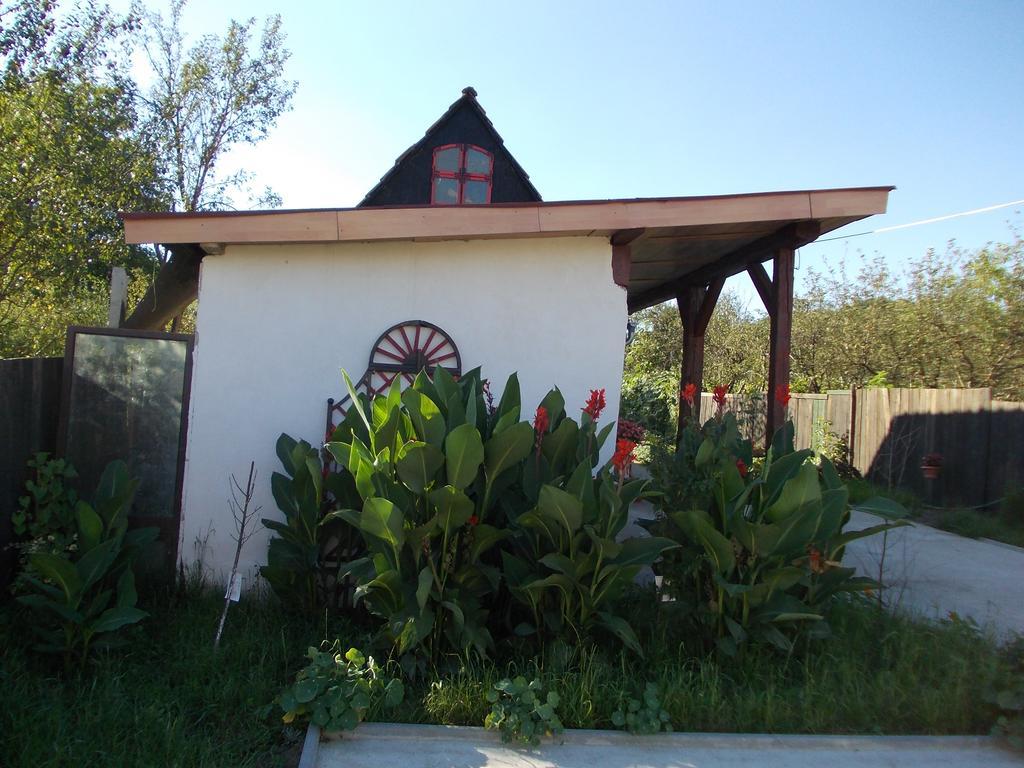Legenda Anotimpurilor Villa Alma ภายนอก รูปภาพ