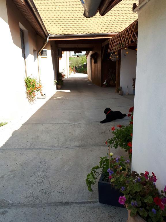 Legenda Anotimpurilor Villa Alma ภายนอก รูปภาพ